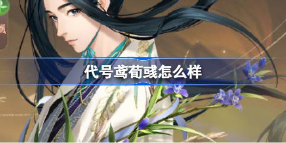 代号鸢荀彧怎么样 代号鸢荀彧密探测评介绍