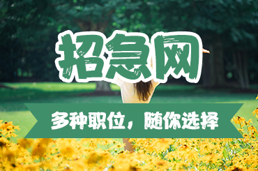 招急网app