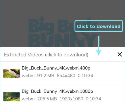 Lj视频下载器精简优化版(Lj Video Downloader)