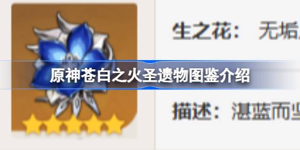 原神苍白之火怎么样 原神苍白之火圣遗物图鉴介绍