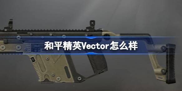 和平精英Vector怎么样 和平精英Vector数据介绍