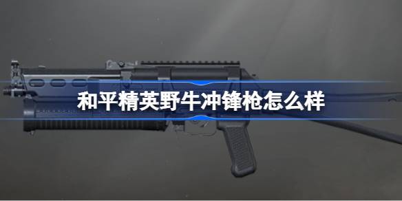 和平精英野牛冲锋枪怎么样 和平精英野牛冲锋枪数据介绍