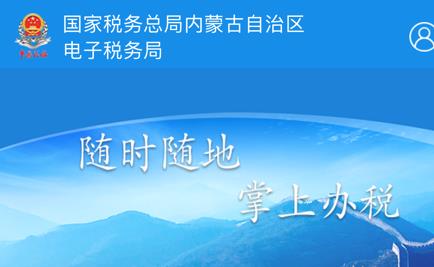 内蒙古税务网上申报平台