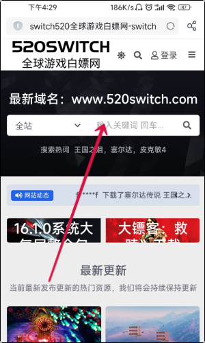 switch520白嫖网网址