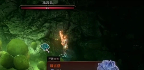 博德之门3箴言菇是只有一个吗