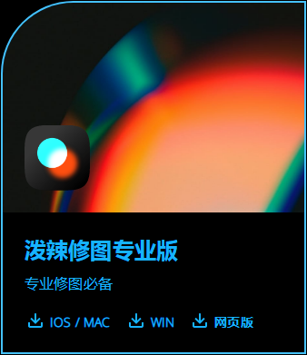 泼辣修图pro安卓版