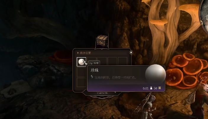 博德之门3鱼人村宝箱在哪里