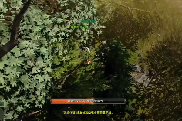 命运方舟艾弗格雷斯的巢穴摩可可在哪获得