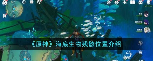 原神海底生物残骸位置在哪里