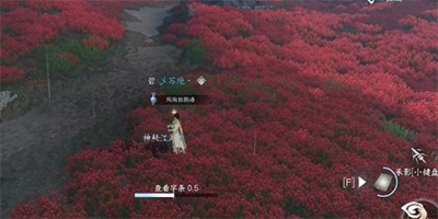逆水寒手游童心寻趣任务怎么玩