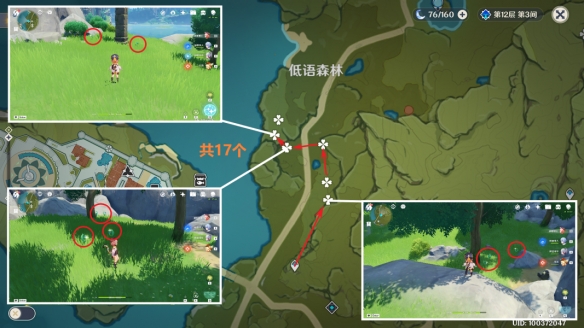 《原神》4.1小灯草采集路线图汇总