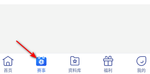 有球有料体育网