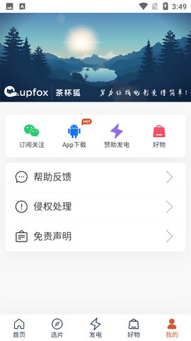 茶杯狐cupfox