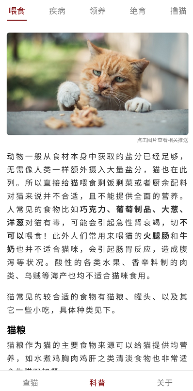 燕园猫速查手册app截图