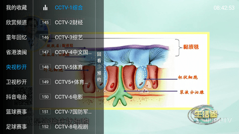 天水麻辣烫美食电视版app图片1