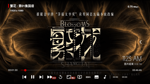 付成影视2024最新版
