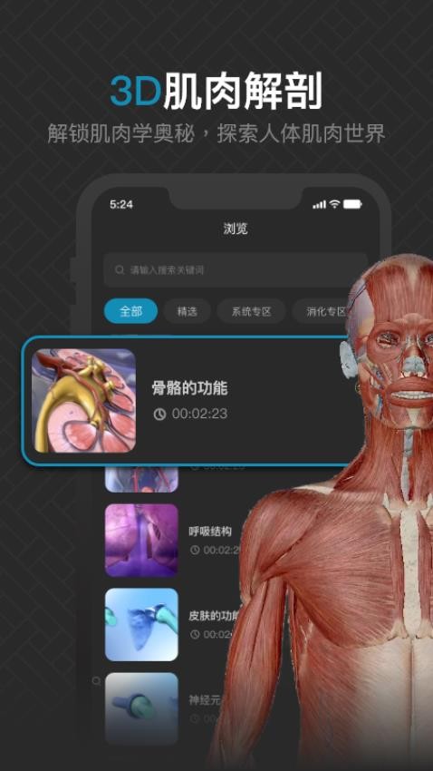 3D肌肉解剖软件