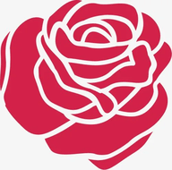 红玫瑰直播平台