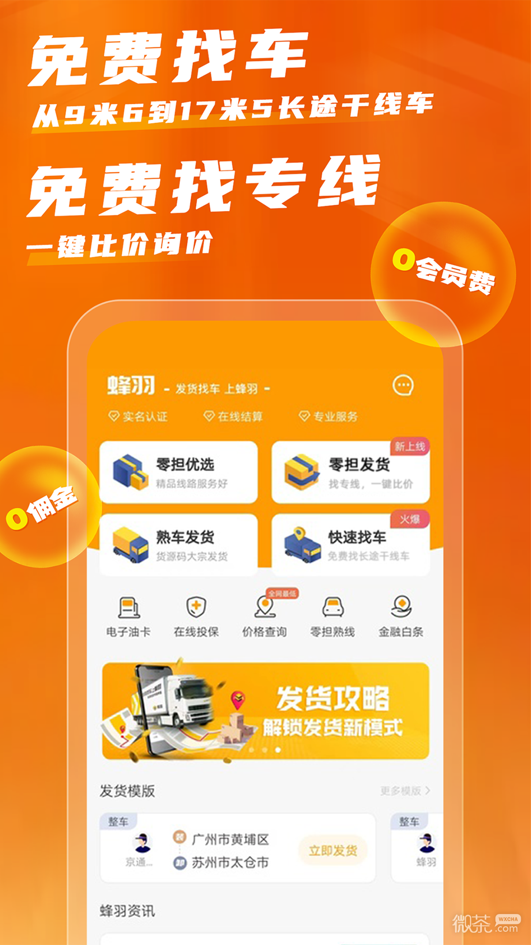 蜂羽貨主版