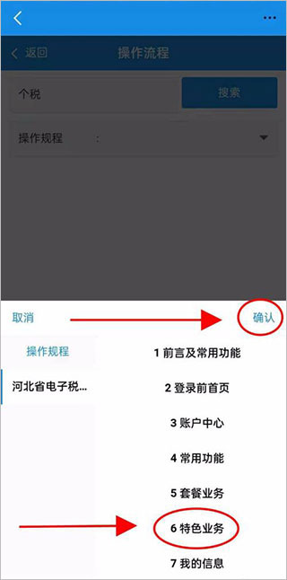 河北税务app