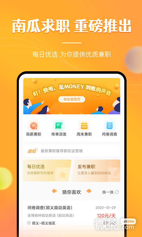 兼職南瓜