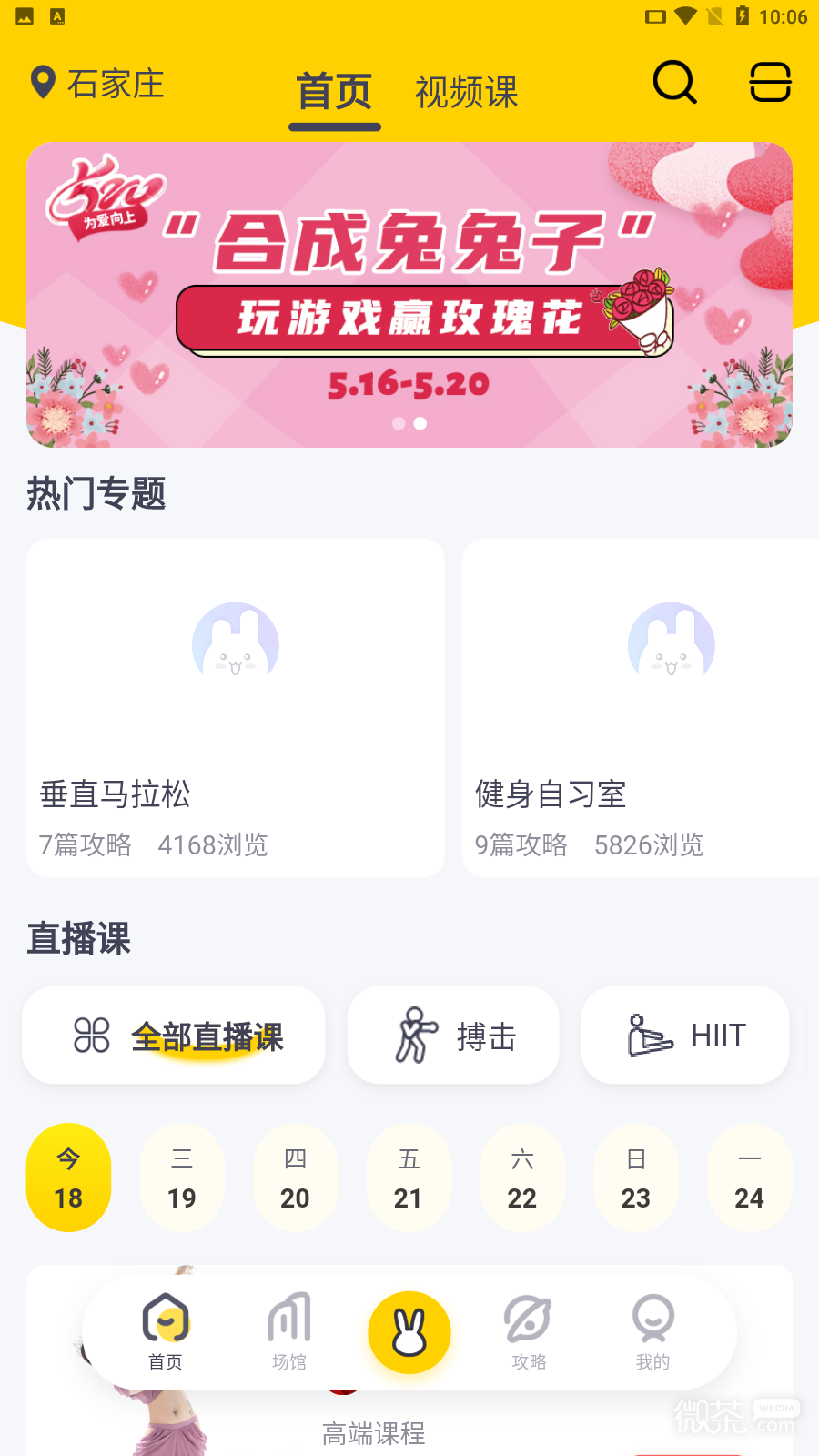 月野兔運動