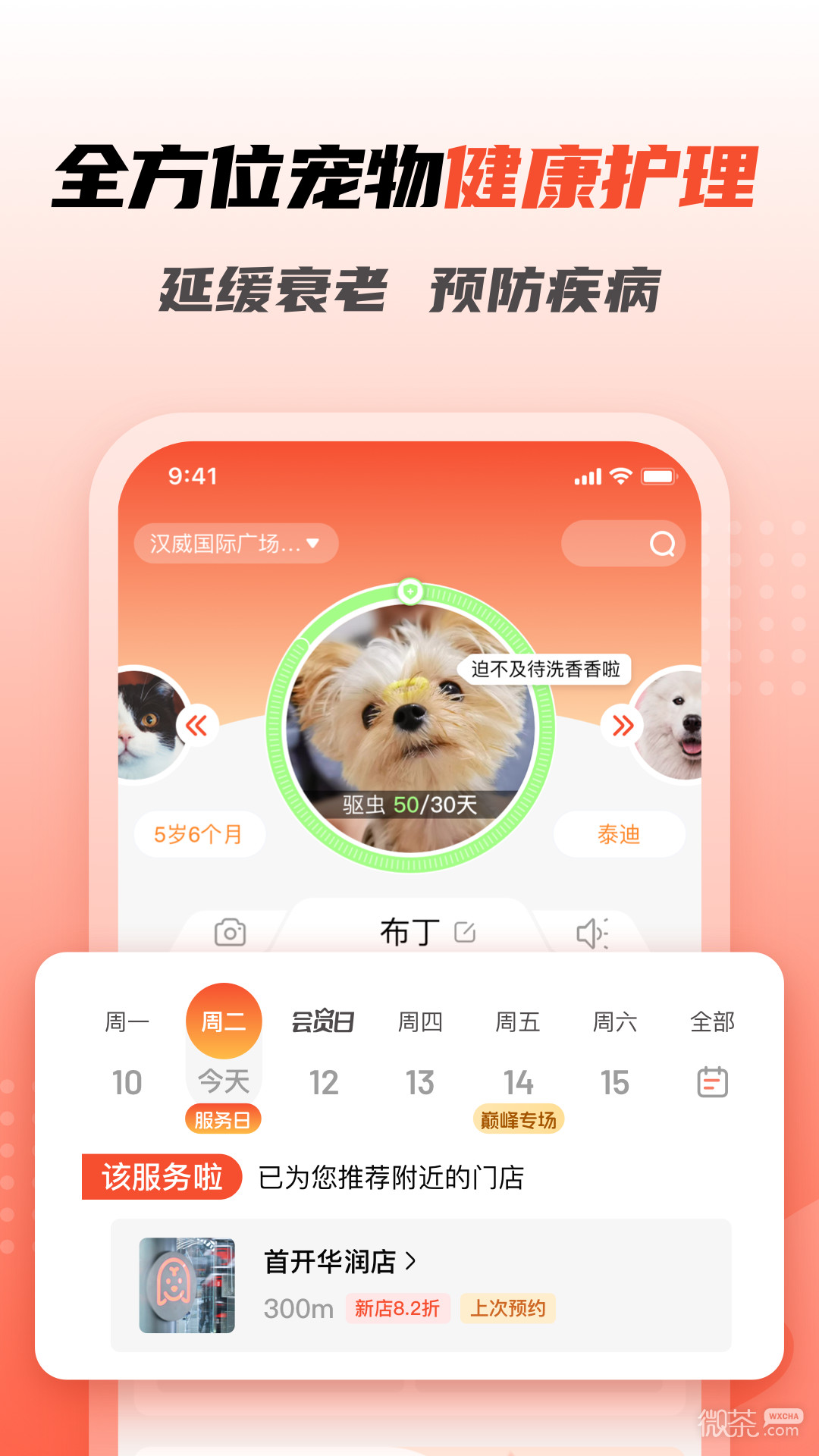 寵物家