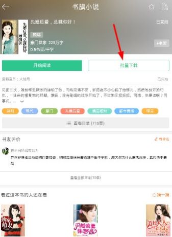 書旗小說