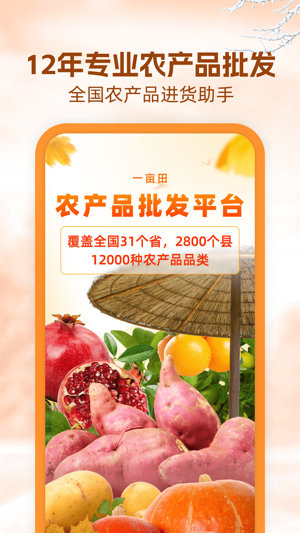 一畝田