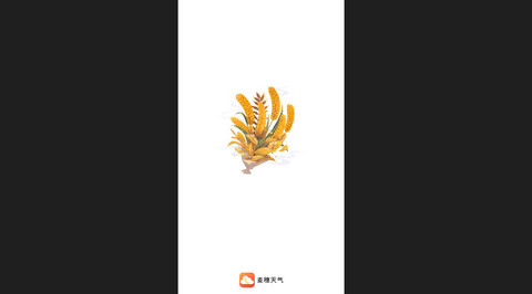 麦穗天气官方版
