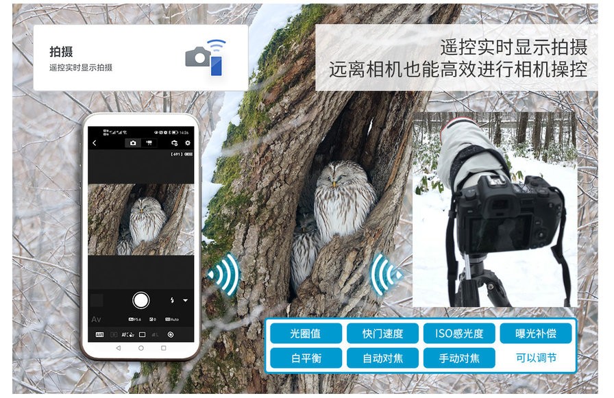 canon camera connect app