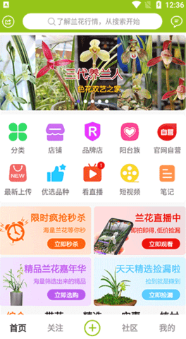 中国兰花交易网客户端