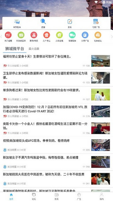 狮城网安卓版