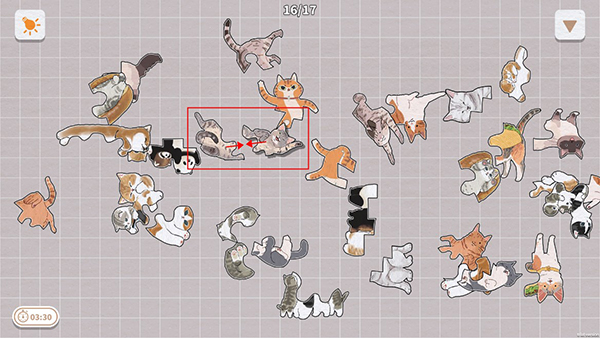 挤在一起的猫猫	