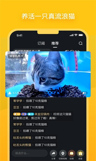 哈啰街猫最新版