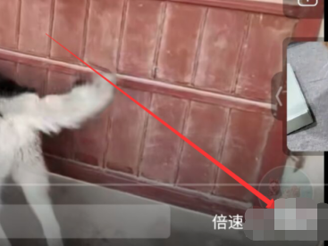 哔哩哔哩车机版