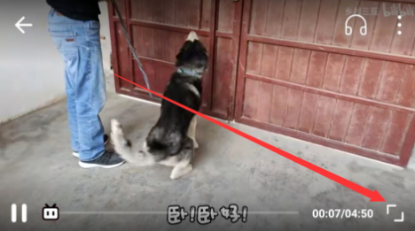 哔哩哔哩车机版