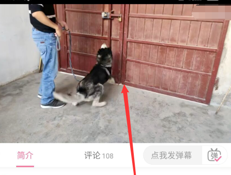 哔哩哔哩车机版