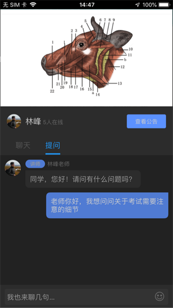 兽课网app下载