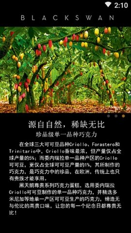黑天鹅外卖手机版