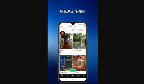 青松教练官方版
