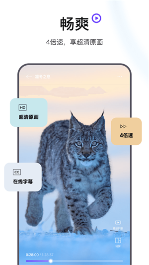 迅雷浏览器app