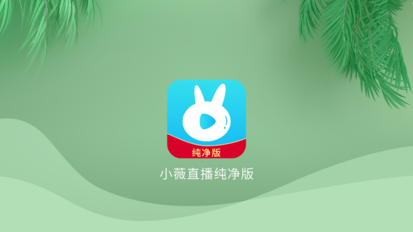 小薇电视直播纯净版