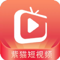紫猫短视频红包版v1.3.1