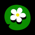 囱彩色彩app v1.0.1