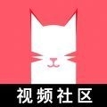 猫咪app视频官方正版v1.1.5
