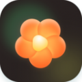 朵朵好看app v1.0