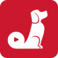 红小狗视频在线观看v1.3.0.3