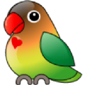 金鹰影仓app v5.0.28