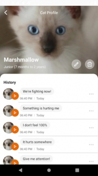 meowtalk喵说中文版
